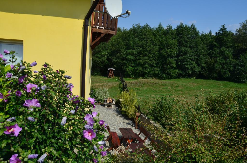 Pensiunea Arpasel Arpasu de Sus Exterior photo
