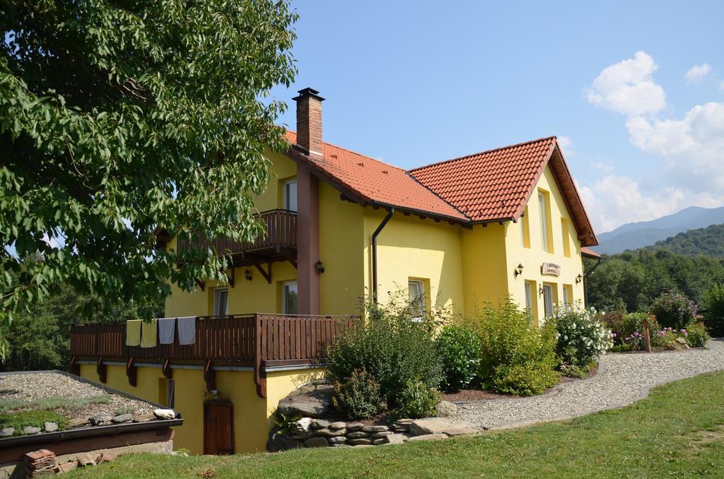Pensiunea Arpasel Arpasu de Sus Exterior photo